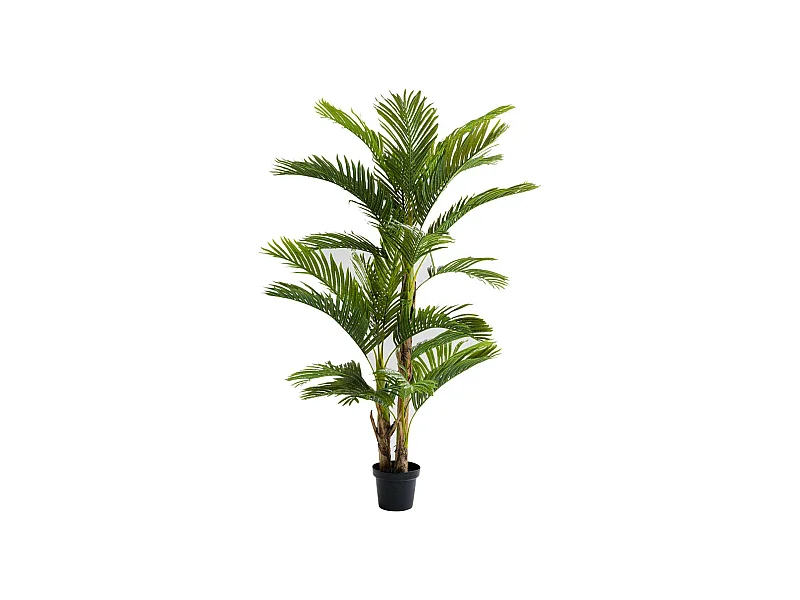 Plante décorative Palm Tree 190cm
