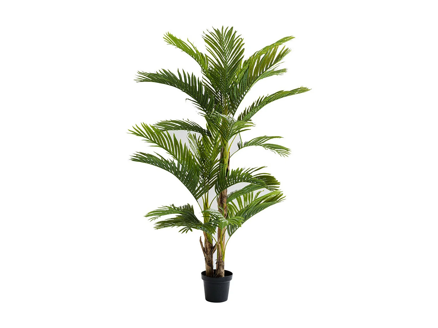 Plante décorative Palm Tree 190cm