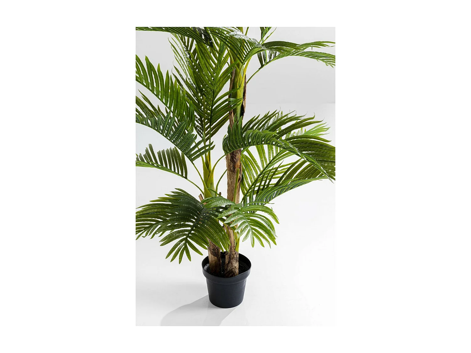 Plante décorative Palm Tree 190cm