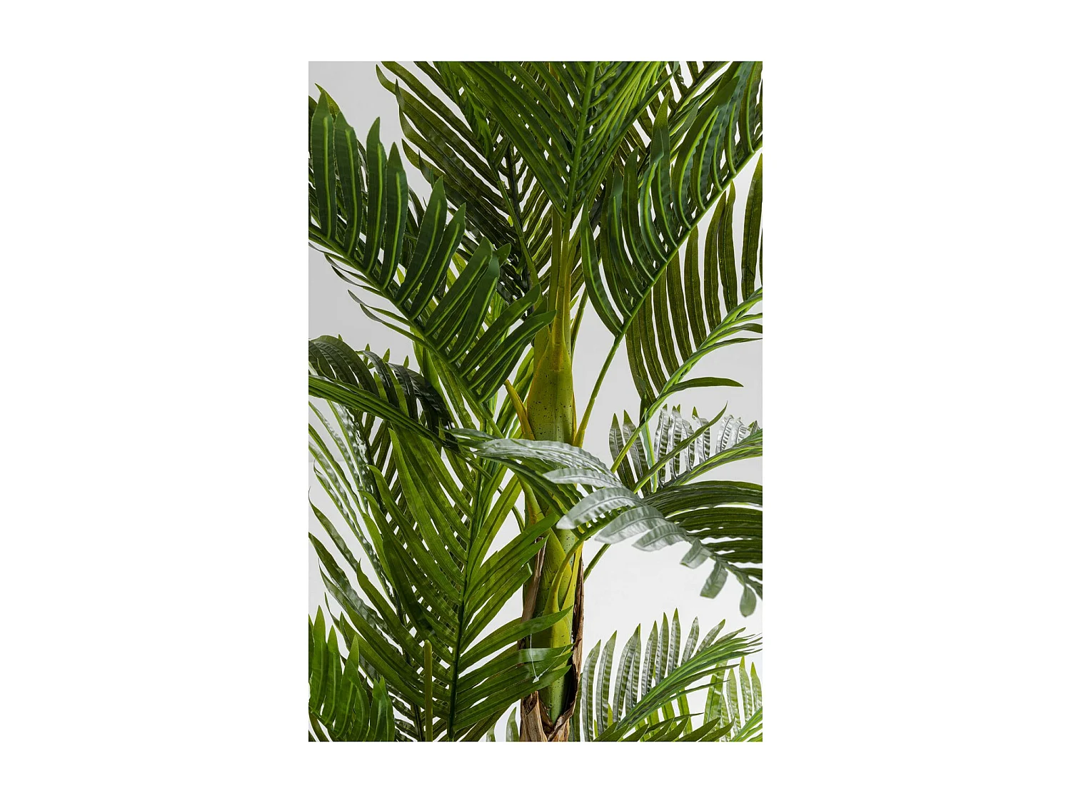 Plante décorative Palm Tree 190cm