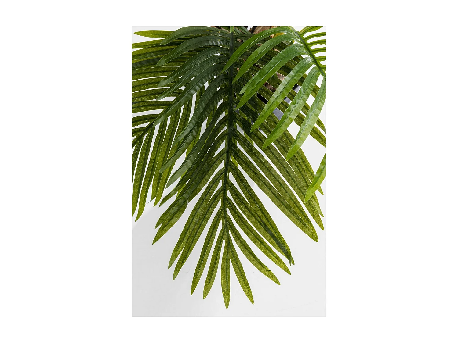 Plante décorative Palm Tree 190cm