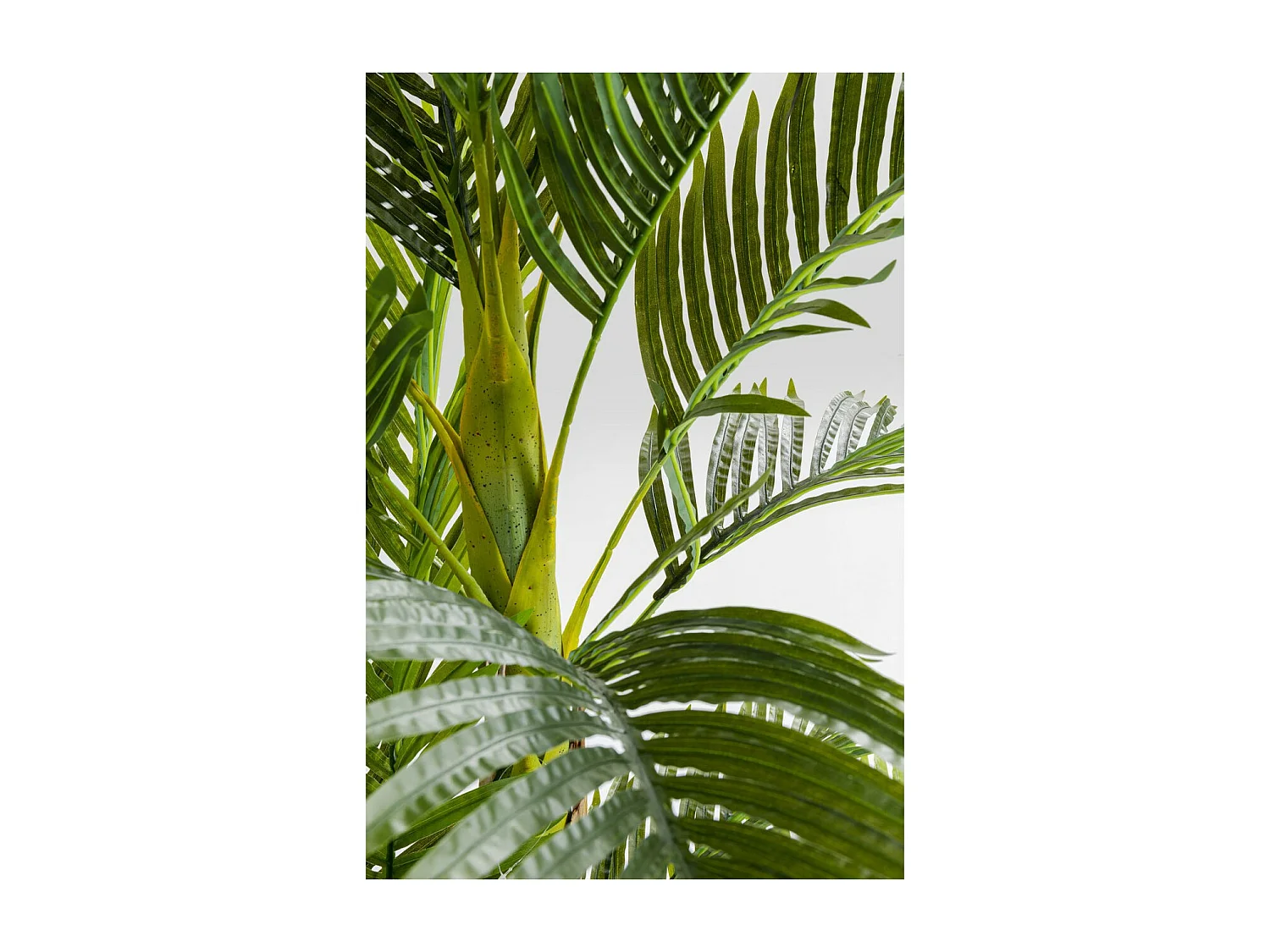 Deko Pflanze Palm Tree 190