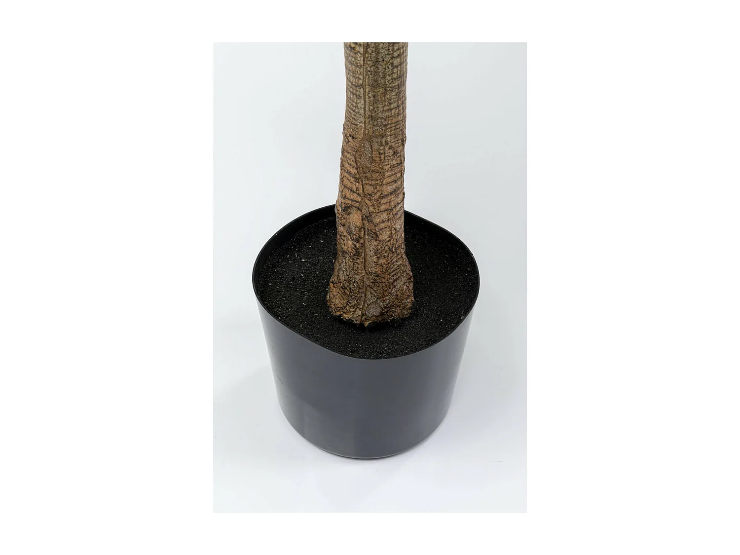 Deko Pflanze Dracaena Fragrans 180cm