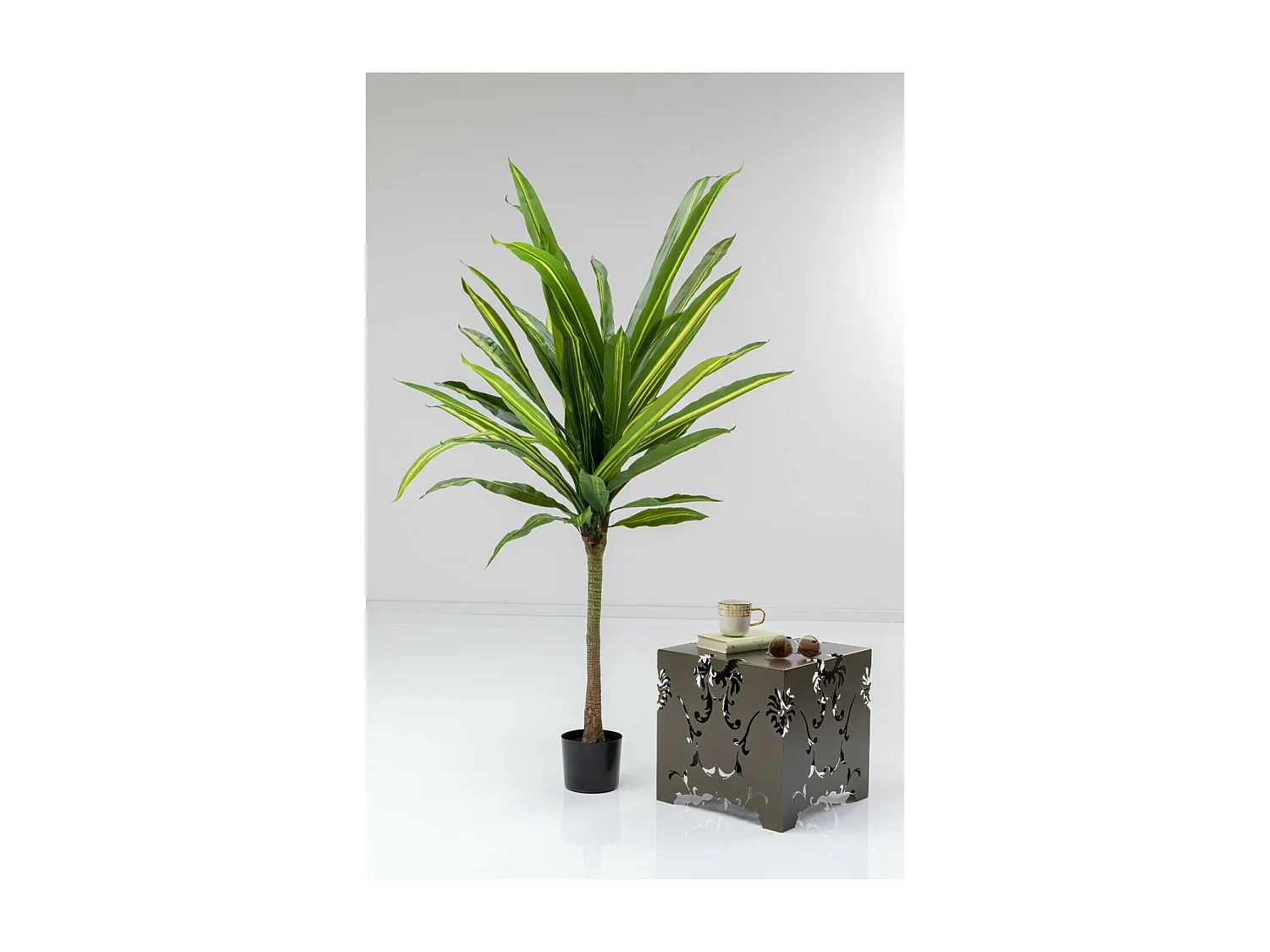 Deko Pflanze Dracaena Fragrans 180cm