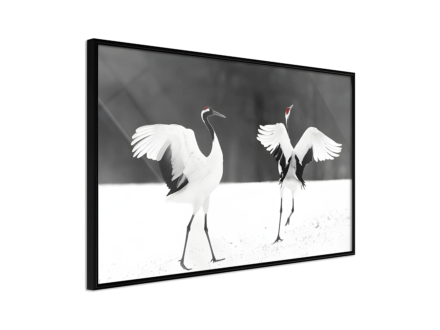 Affiche Murale Encadrée "Bird Date" 60 x 40 cm Noir