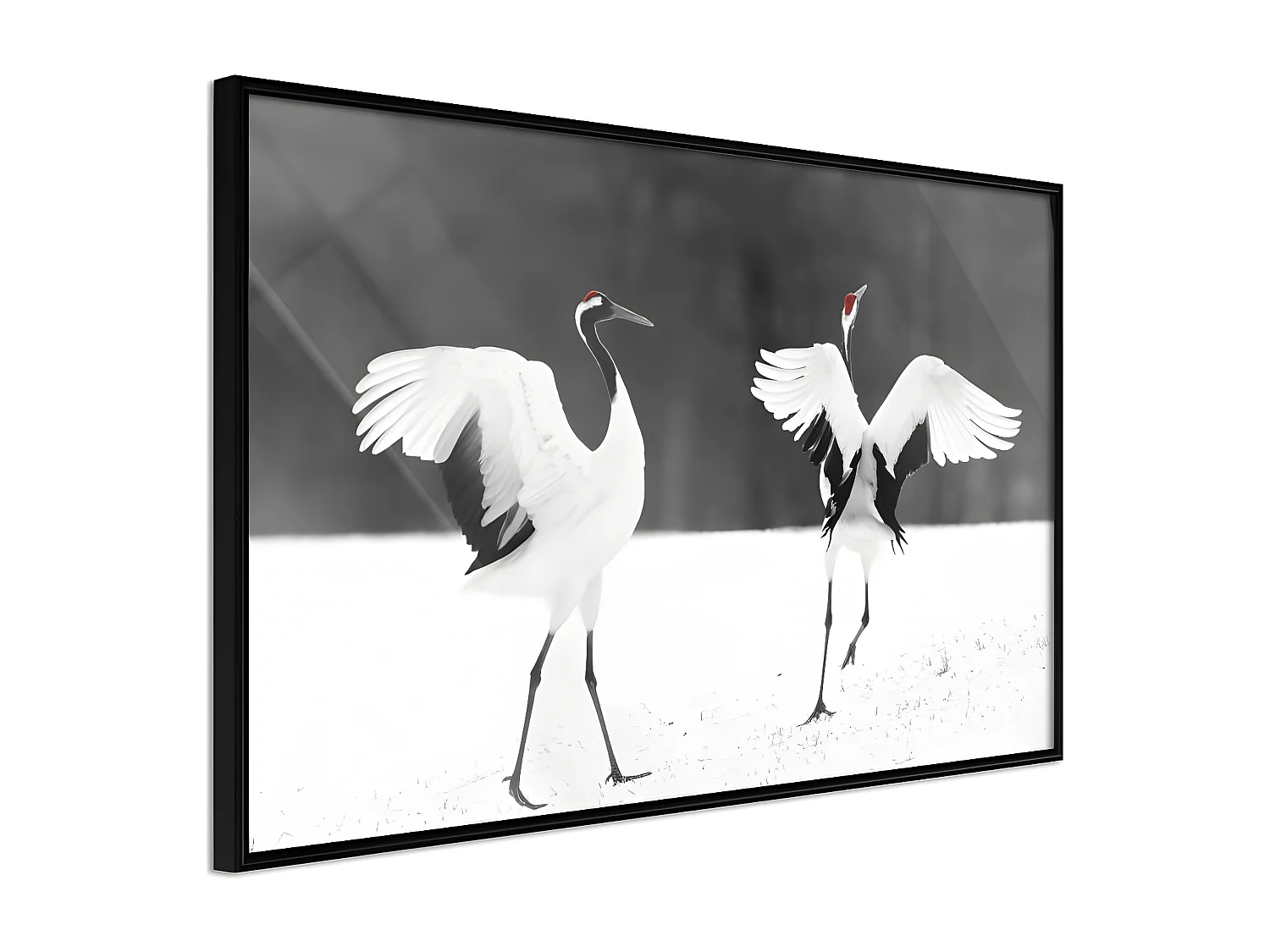 Affiche Murale Encadrée "Bird Date" 60 x 40 cm Noir