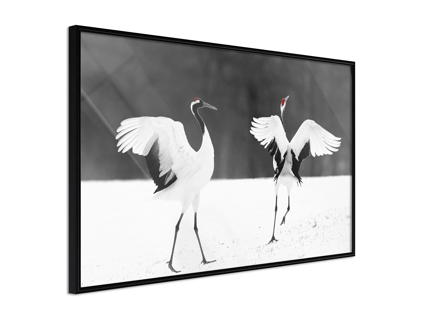 Affiche Murale Encadrée "Bird Date" 45 x 30 cm Noir