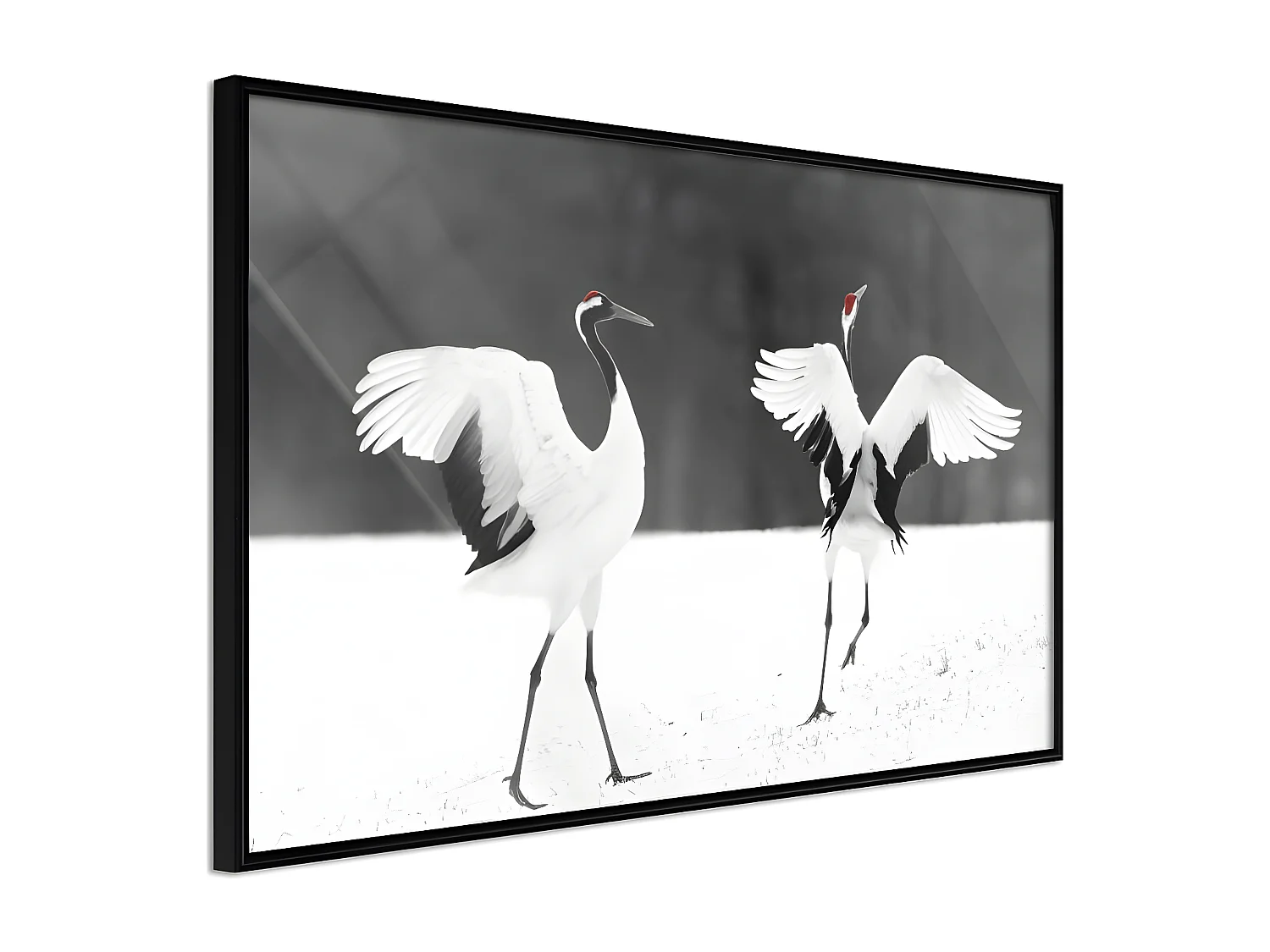 Affiche Murale Encadrée "Bird Date" 90 x 60 cm Noir