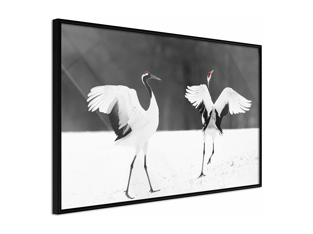 Affiche Murale Encadrée "Bird Date" 30 x 20 cm Noir