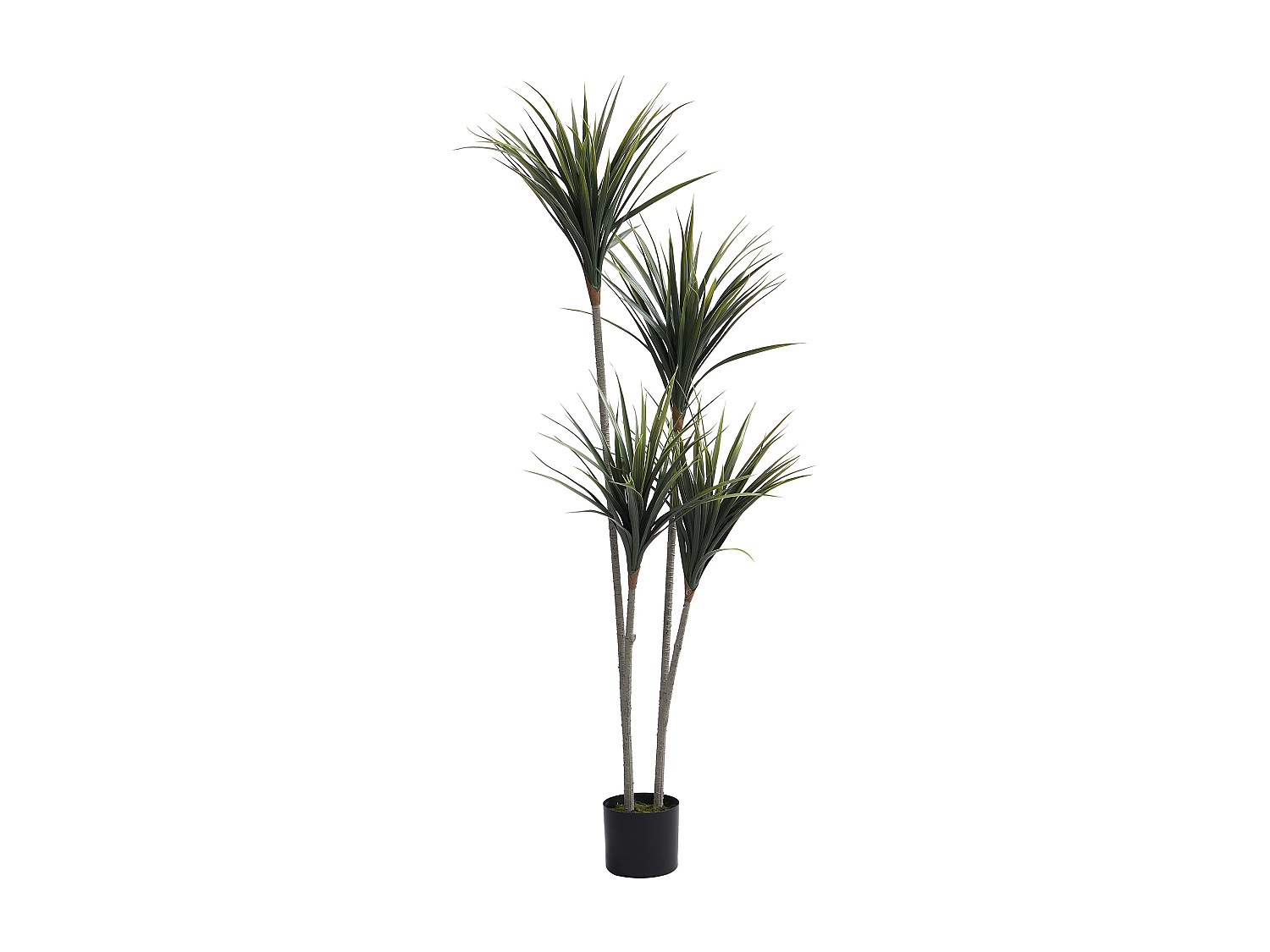 Kunstpflanze Yucca-Palme mit Topf - H. 150 cm - LYA günstig online kaufen