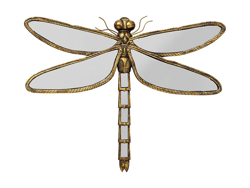 Décoration murale Dragonfly Mirror 71