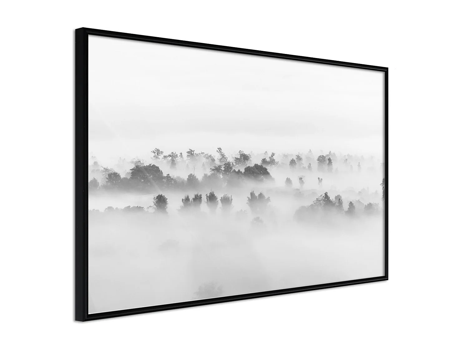 Affiche Murale Encadrée "Fog Over the Forest" 60 x 40 cm Noir