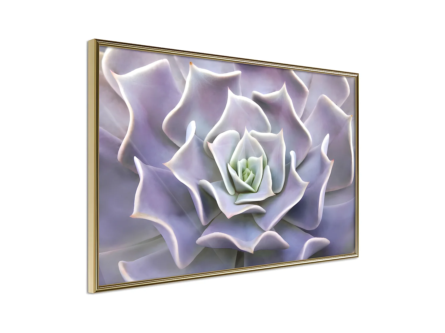 Affiche Murale Encadrée "Like a Flower" 45 x 30 cm Or