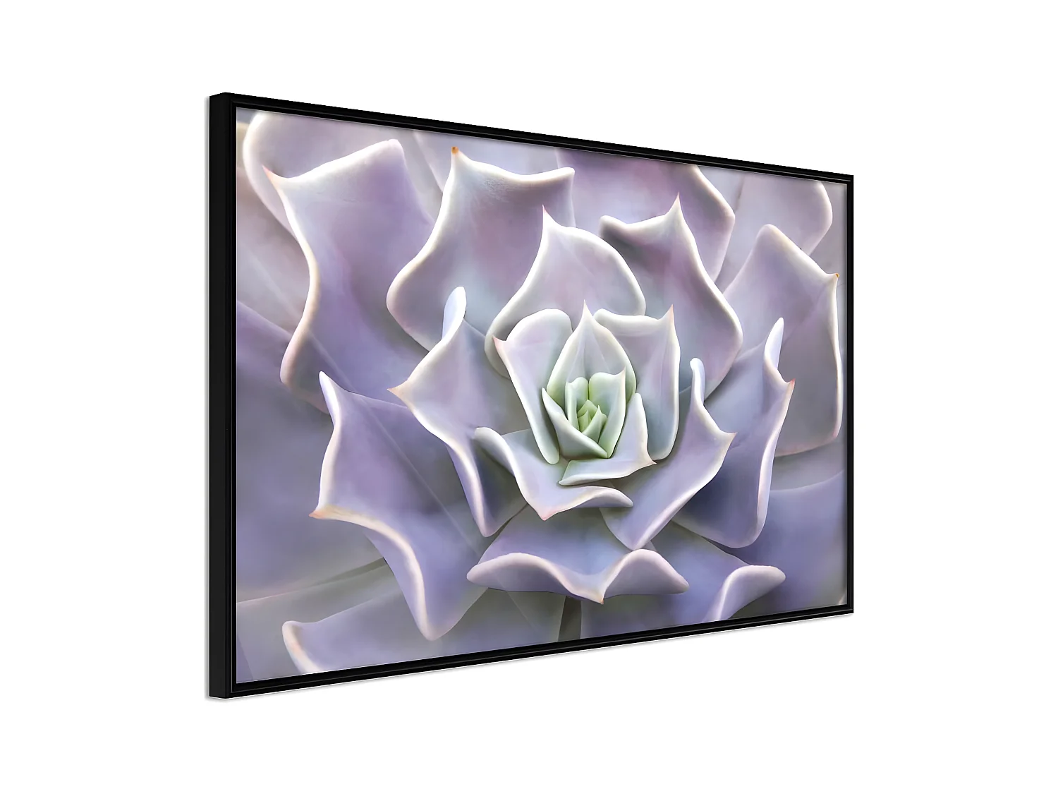 Affiche Murale Encadrée "Like a Flower" 45 x 30 cm Noir