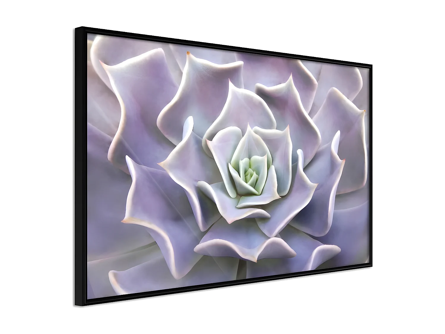 Affiche Murale Encadrée "Like a Flower" 45 x 30 cm Noir