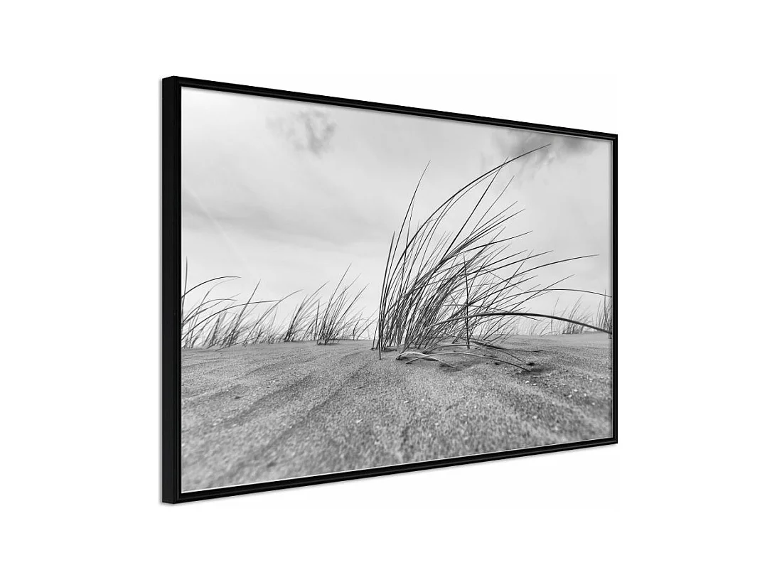 Affiche Murale Encadrée "Seaside Dunes" 60 x 40 cm Noir