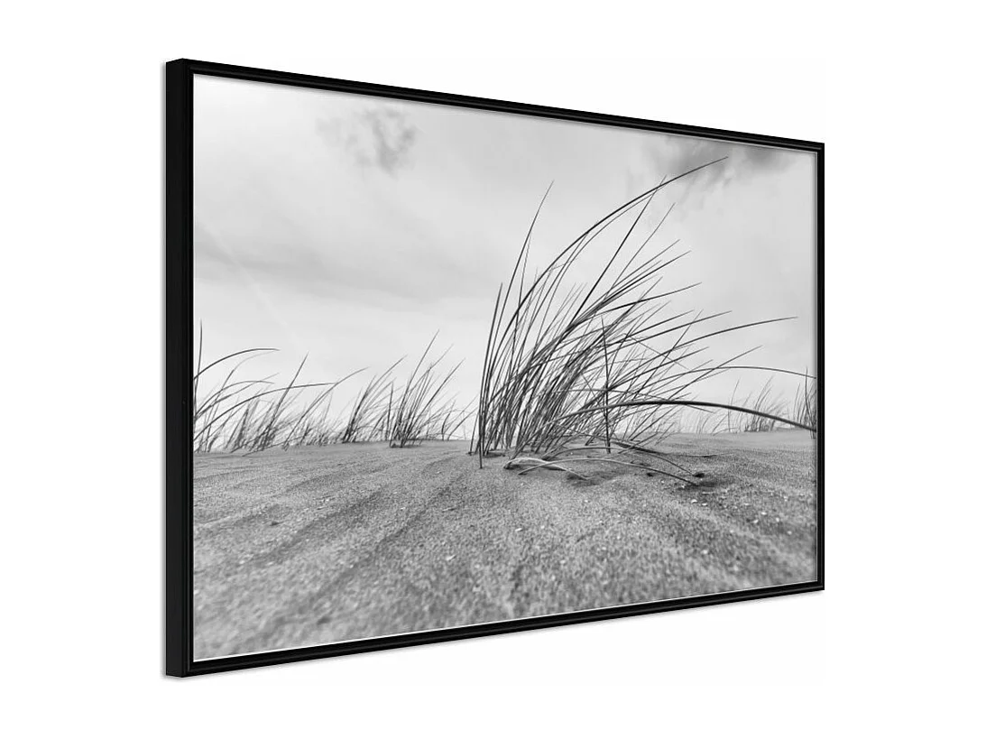 Affiche Murale Encadrée "Seaside Dunes" 60 x 40 cm Noir