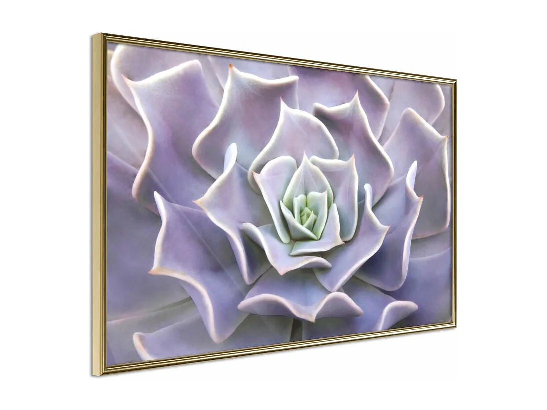 Affiche Murale Encadrée "Like a Flower" 60 x 40 cm Or