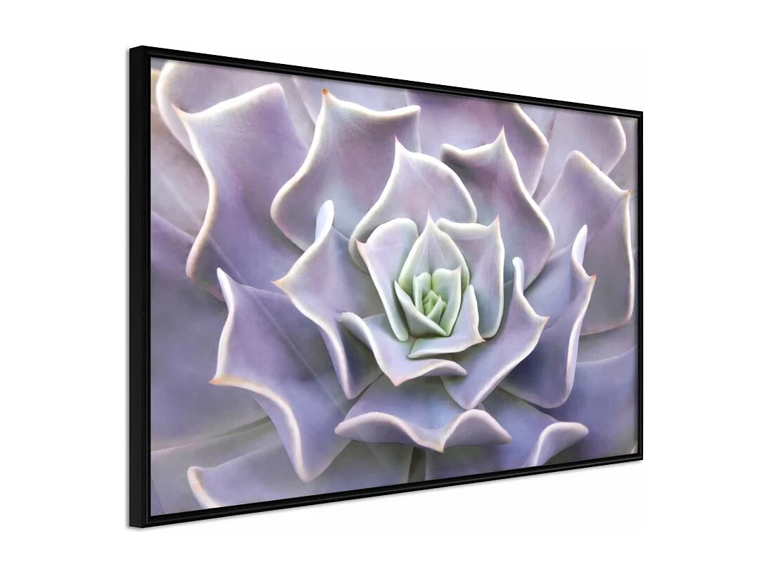 Affiche Murale Encadrée "Like a Flower" 90 x 60 cm Noir