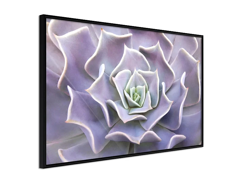 Affiche Murale Encadrée "Like a Flower" 90 x 60 cm Noir