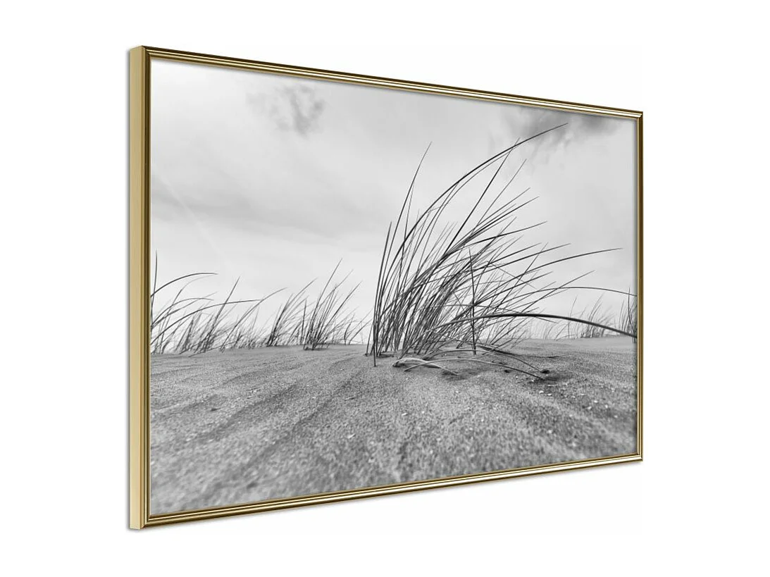 Affiche Murale Encadrée "Seaside Dunes" 60 x 40 cm Or
