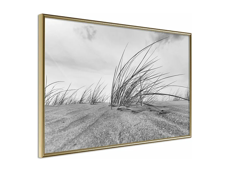 Affiche Murale Encadrée "Seaside Dunes" 60 x 40 cm Or