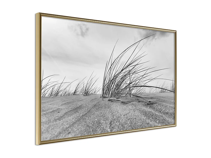 Affiche Murale Encadrée "Seaside Dunes" 60 x 40 cm Or