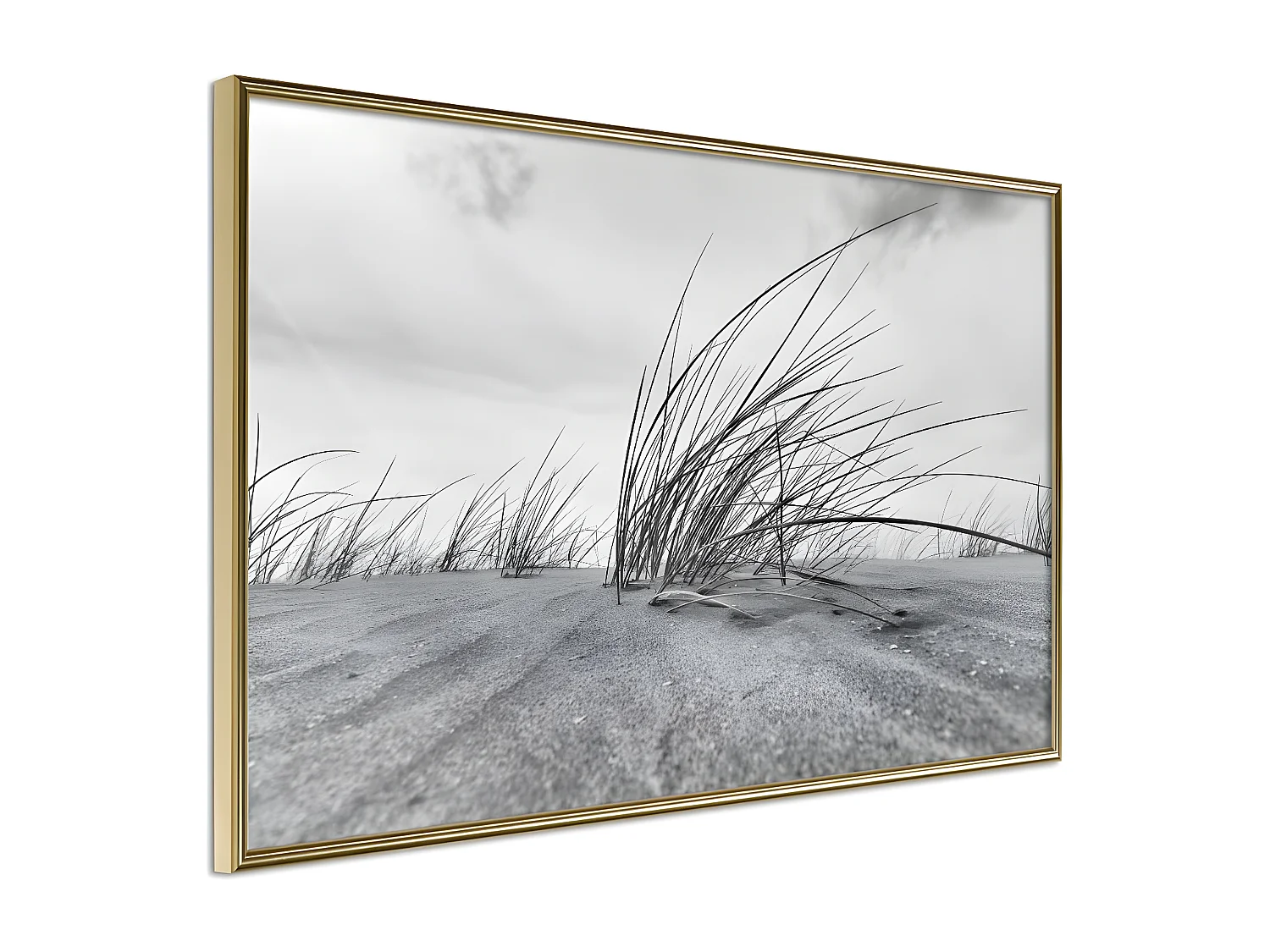 Affiche Murale Encadrée "Seaside Dunes" 90 x 60 cm Or