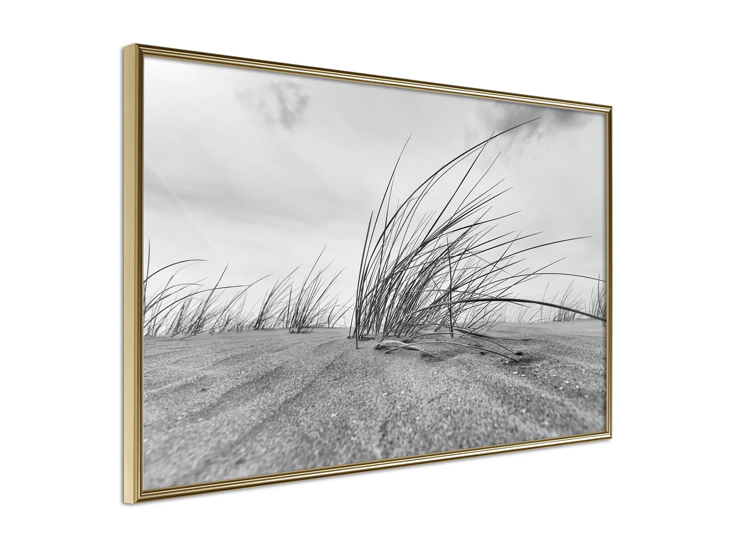 Affiche Murale Encadrée "Seaside Dunes" 90 x 60 cm Or