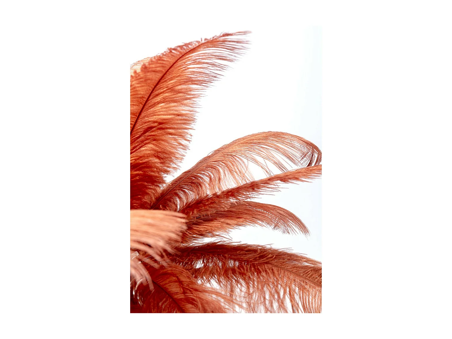 Tischleuchte Feather Palm Rusty Red  60cm