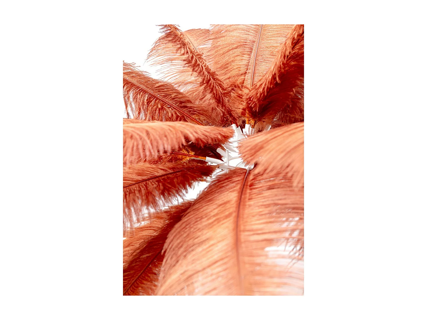 Tischleuchte Feather Palm Rusty Red  60cm