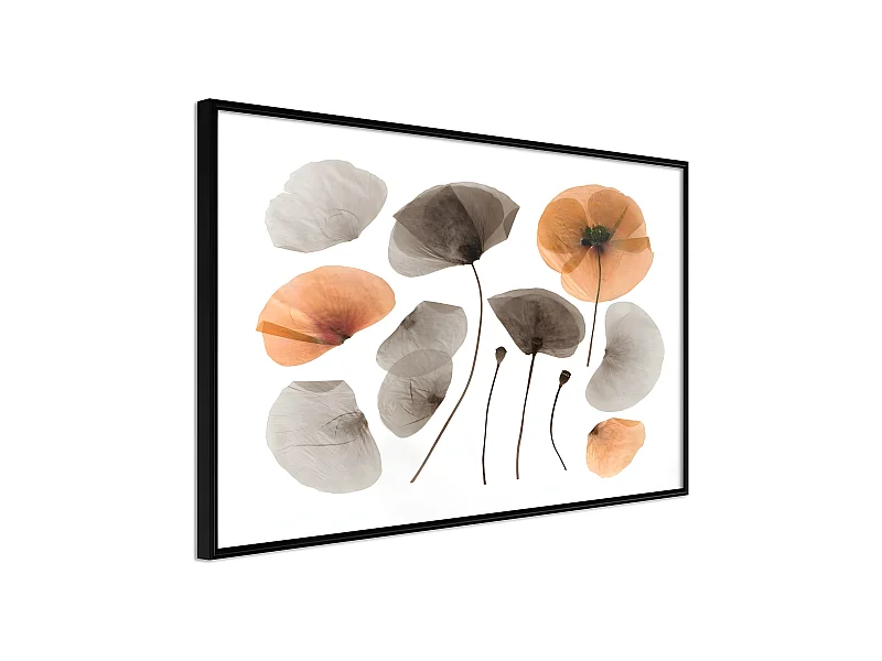 Affiche Murale Encadrée "Dried Poppies" 30 x 20 cm Noir