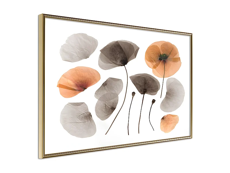 Affiche Murale Encadrée "Dried Poppies" 90 x 60 cm Or