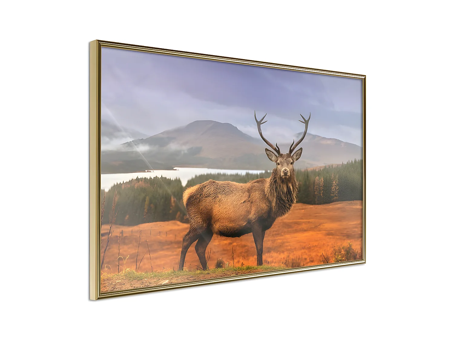 Affiche Murale Encadrée "Majestic Deer" 45 x 30 cm Or
