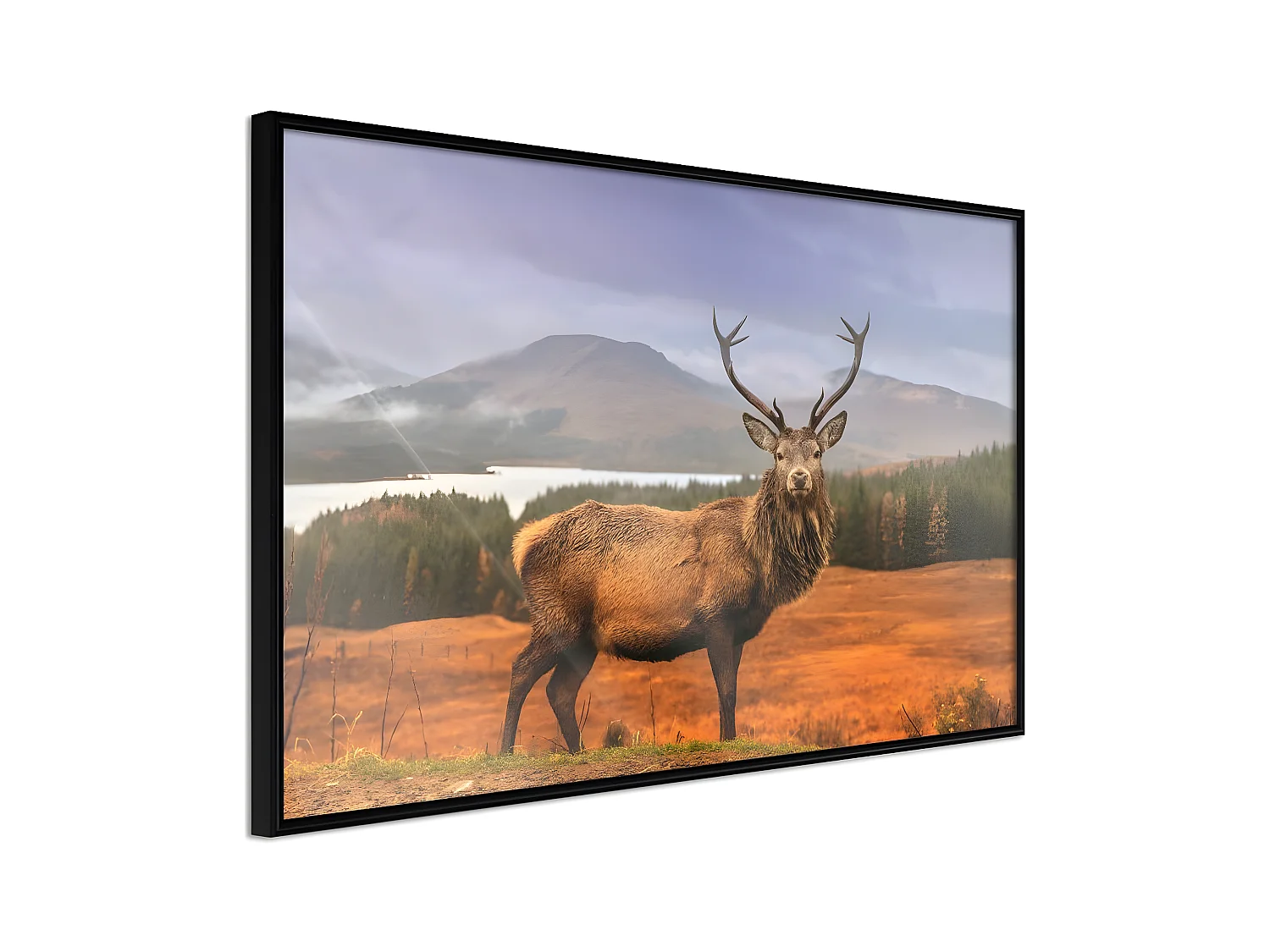 Affiche Murale Encadrée "Majestic Deer" 45 x 30 cm Noir