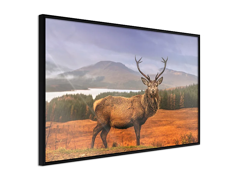 Affiche Murale Encadrée "Majestic Deer" 45 x 30 cm Noir