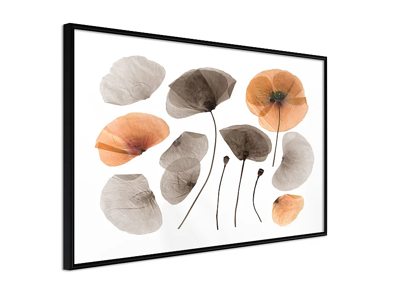 Affiche Murale Encadrée "Dried Poppies" 60 x 40 cm Noir