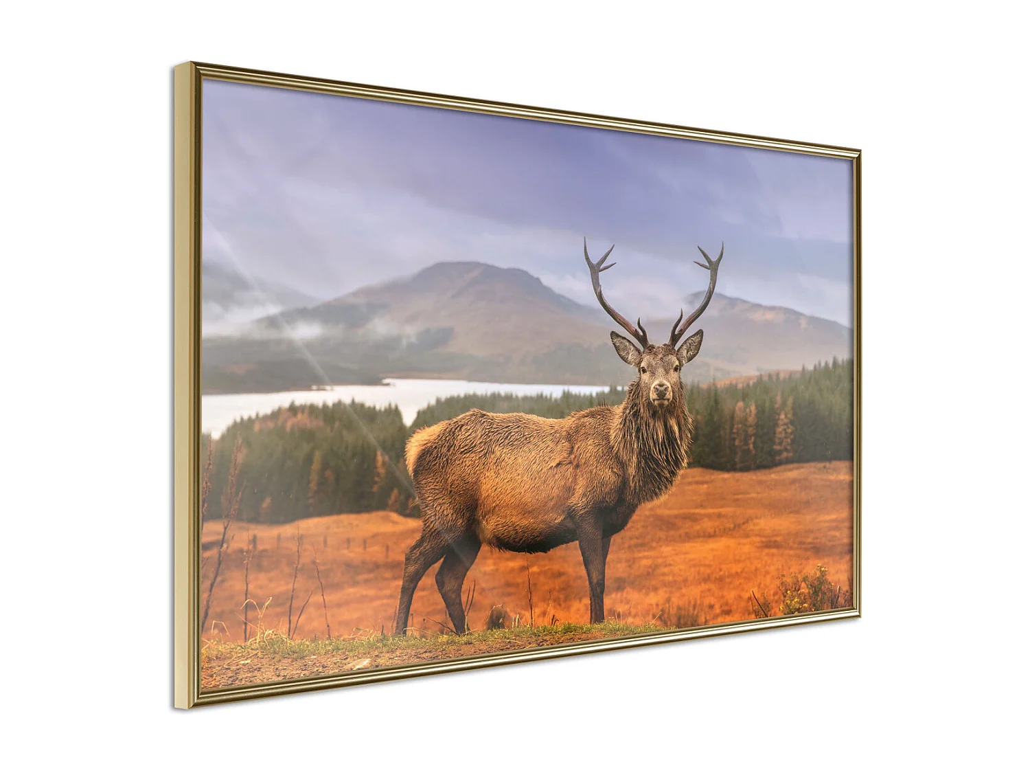 Affiche Murale Encadrée "Majestic Deer" 30 x 20 cm Or