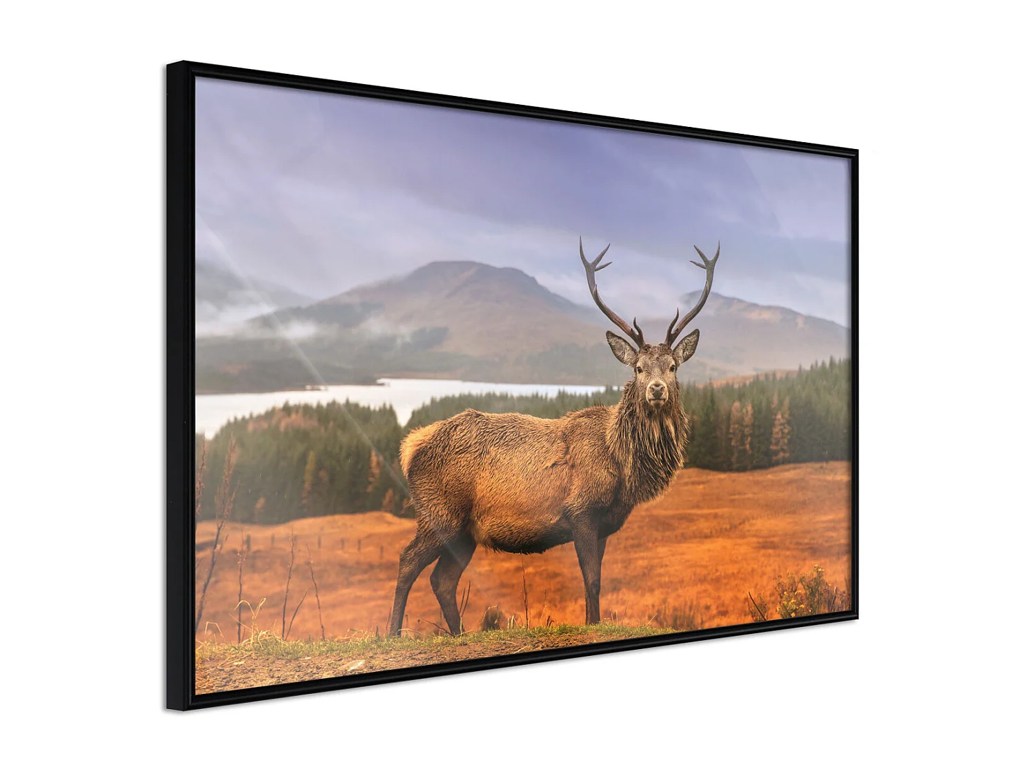 Affiche Murale Encadrée "Majestic Deer" 30 x 20 cm Noir