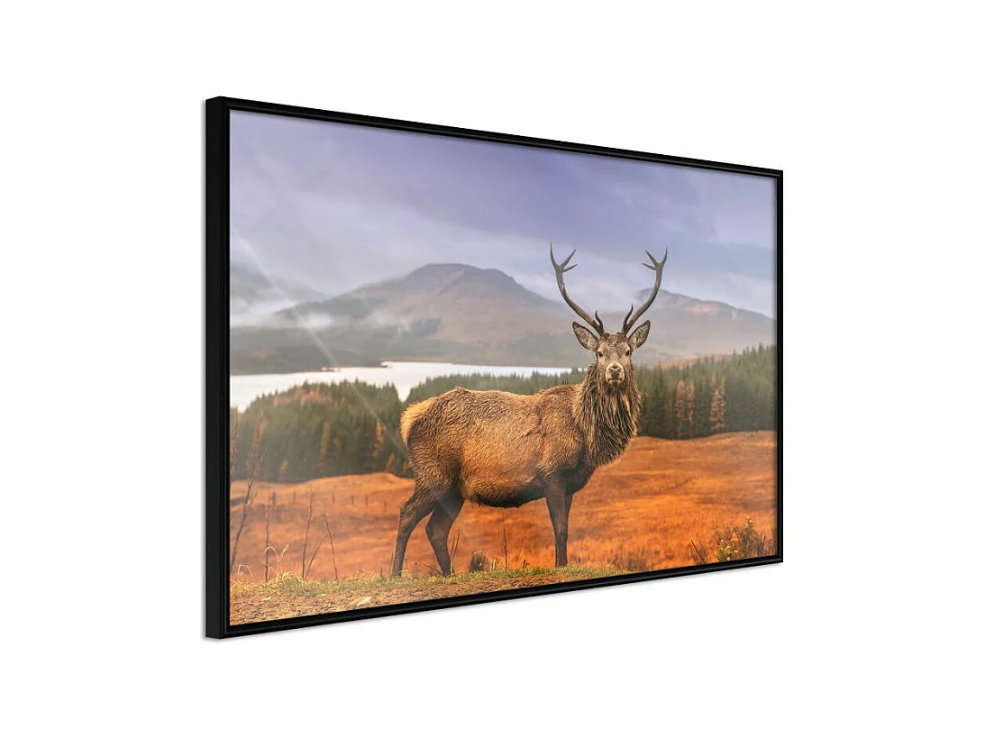 Affiche Murale Encadrée "Majestic Deer" 90 x 60 cm Noir