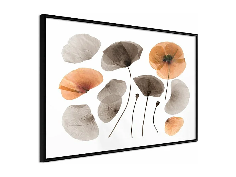 Affiche Murale Encadrée "Dried Poppies" 90 x 60 cm Noir
