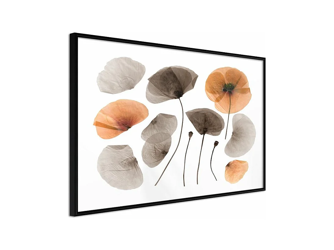 Affiche Murale Encadrée "Dried Poppies" 90 x 60 cm Noir
