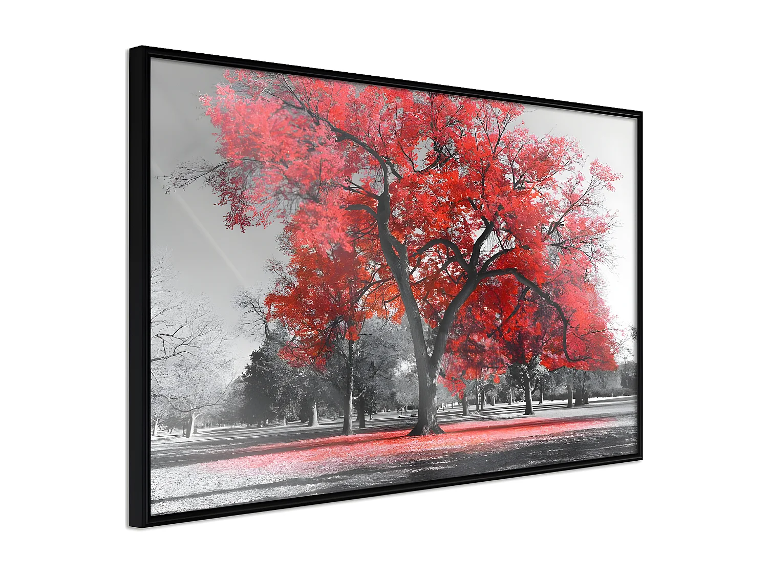 Affiche Murale Encadrée "Red Tree" 90 x 60 cm Noir