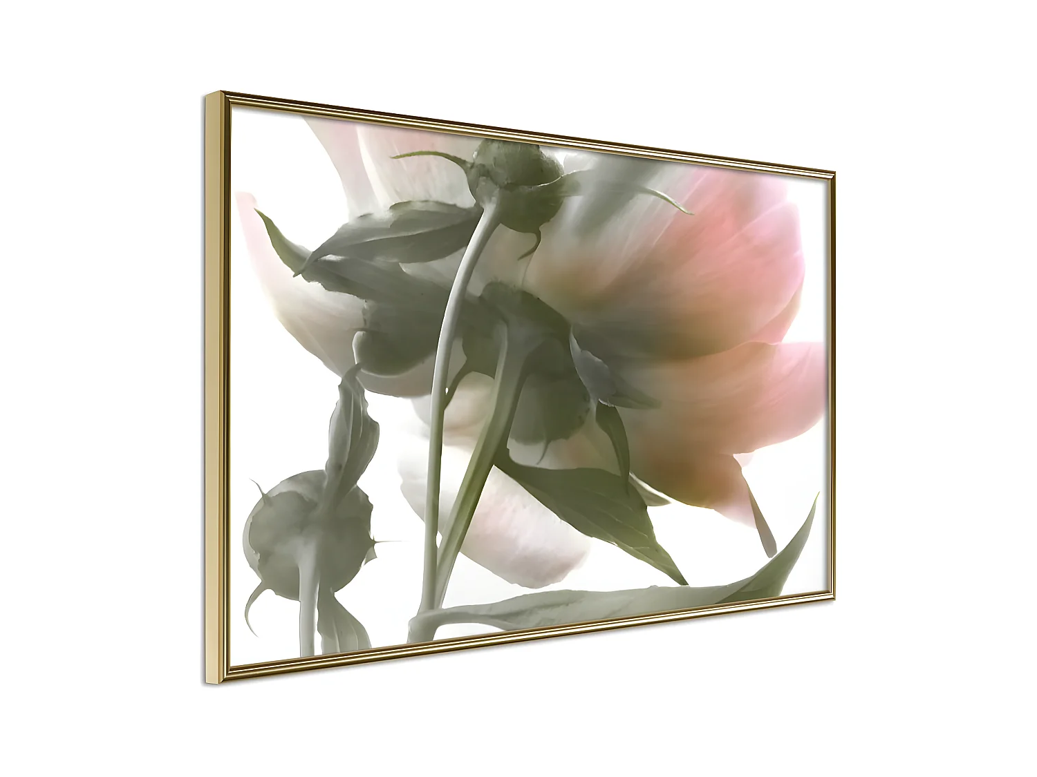 Affiche Murale Encadrée "Under the Flower" 30 x 20 cm Or