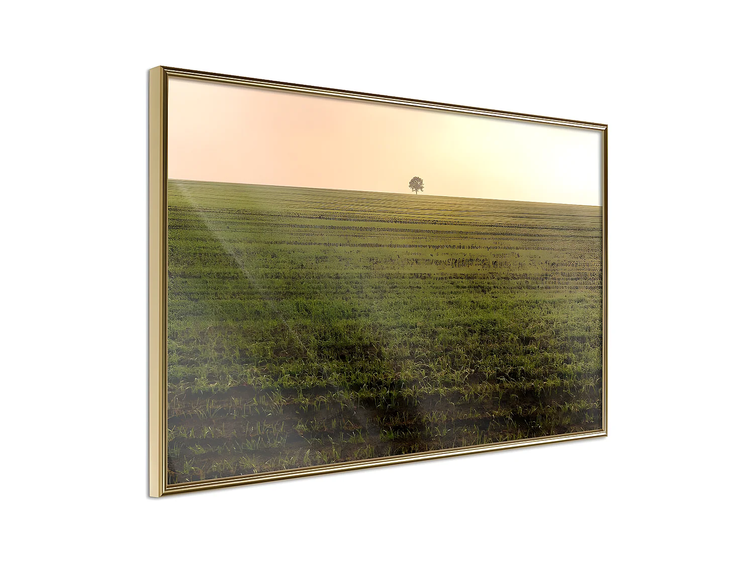 Affiche Murale Encadrée "Farmland" 90 x 60 cm Or