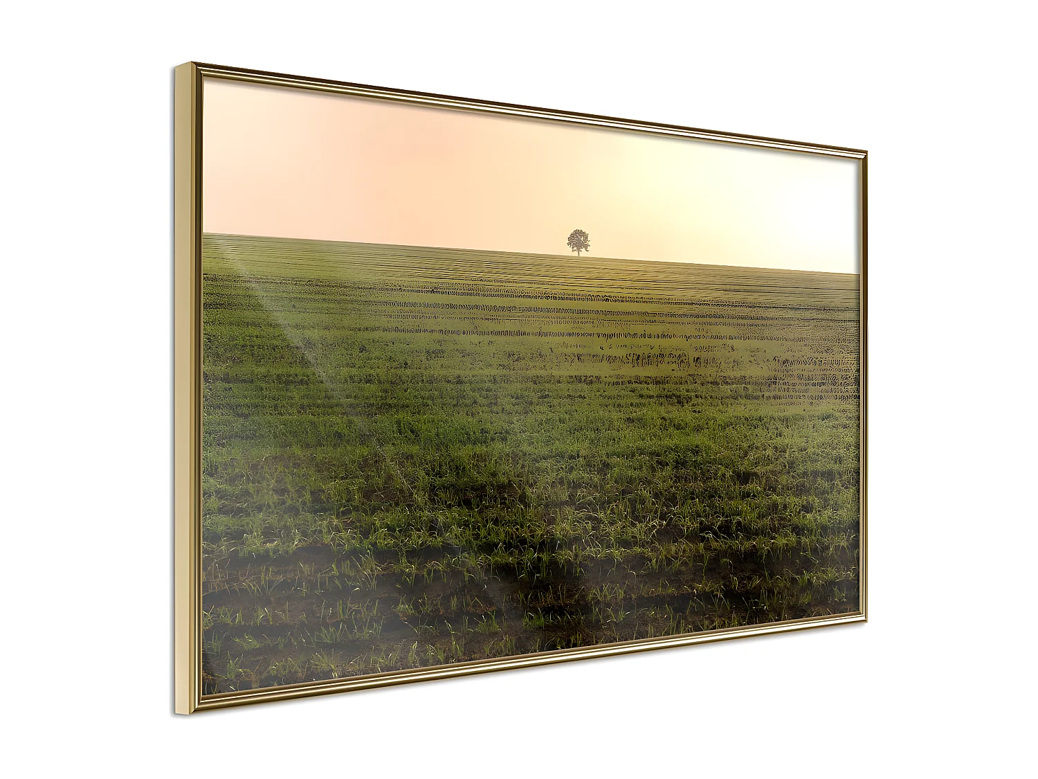 Affiche Murale Encadrée "Farmland" 90 x 60 cm Or