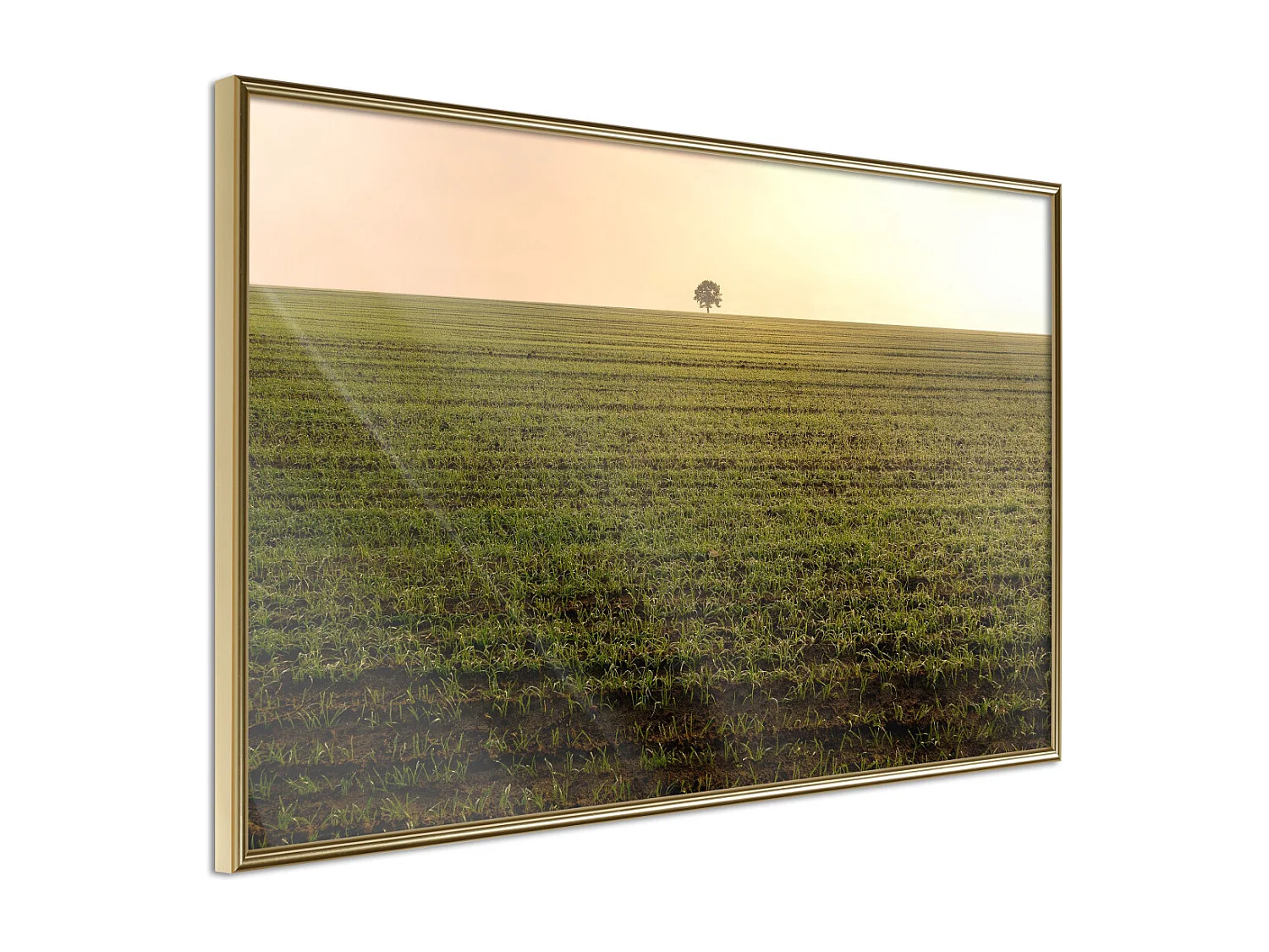Affiche Murale Encadrée "Farmland" 90 x 60 cm Or