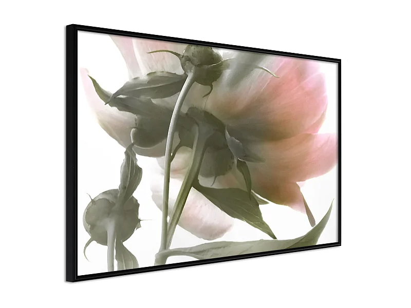 Affiche Murale Encadrée "Under the Flower" 45 x 30 cm Noir