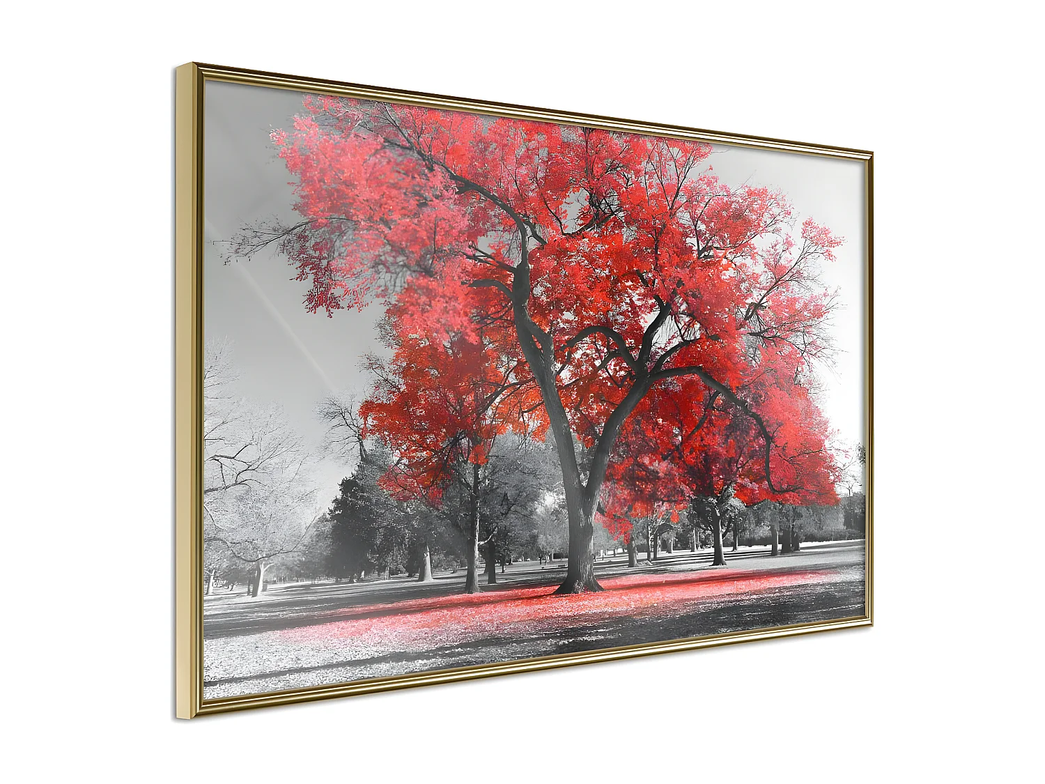 Affiche Murale Encadrée "Red Tree" 30 x 20 cm Or
