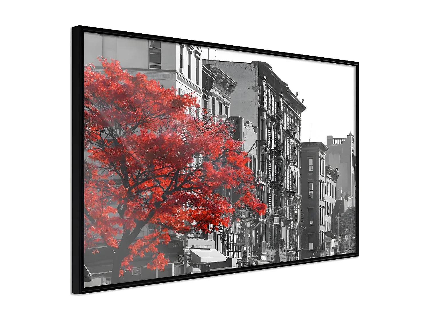 Affiche Murale Encadrée "Autumn Colours II" 90 x 60 cm Noir